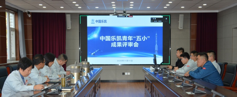 激揚青春智造力！中國樂凱團委召開青年&ldquo;五小&rdquo;成果評審會